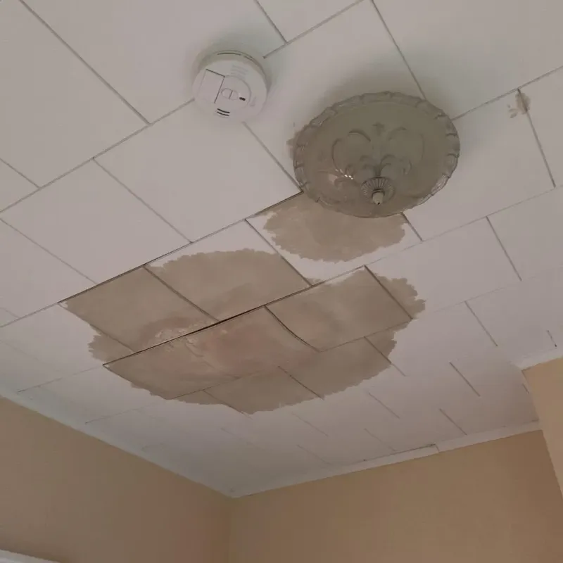 Ceiling Water Damage Repair in South Windham, CT