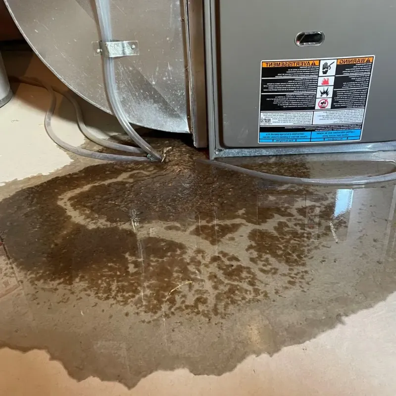 Pipe Burst and Leak Restoration in South Windham, CT