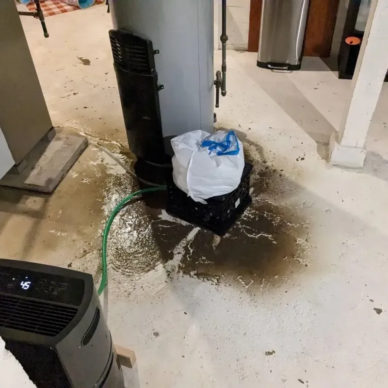 Sewage Backup Cleanup Service in South Windham, CT